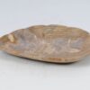 Plate petrified wood 52389