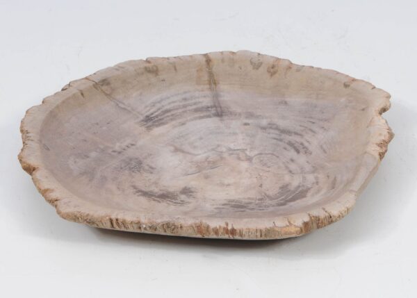 Plate petrified wood 52394