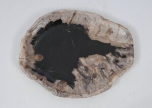 Plate petrified wood 52396