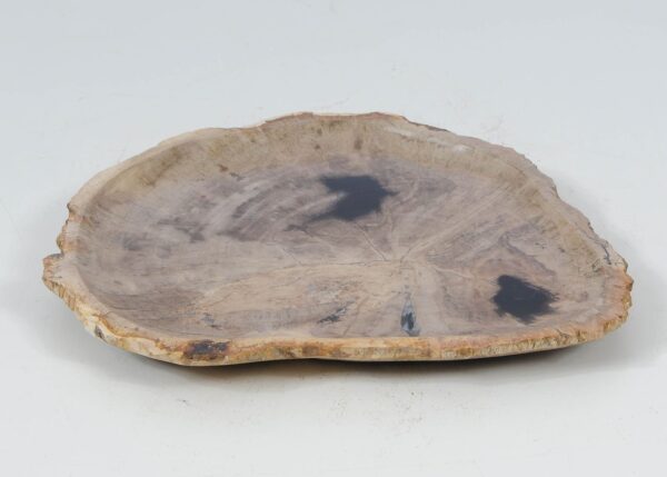 Plate petrified wood 52402