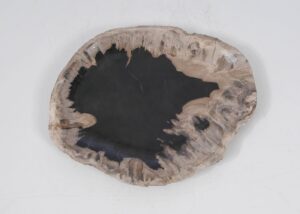 Plate petrified wood 52403