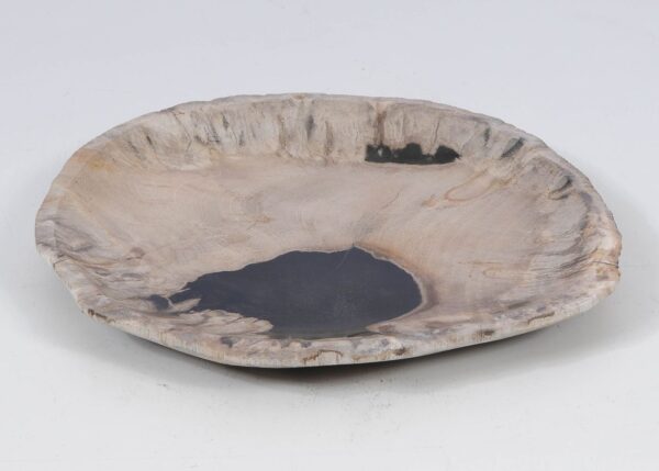 Plate petrified wood 52404