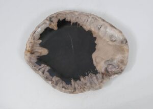 Plate petrified wood 52405