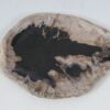 Plate petrified wood 52407