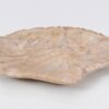 Plato madera petrificada 51090