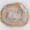 Plato madera petrificada 51099