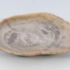 Plato madera petrificada 51099