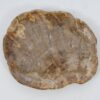 Plato madera petrificada 51104