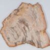 Plato madera petrificada 51339