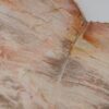 Plato madera petrificada 51339