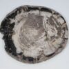 Plato madera petrificada 52010