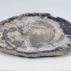 Plato madera petrificada 52012