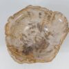 Bol madera petrificada 52360