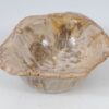 Bol madera petrificada 52360