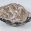 Bol madera petrificada 52373
