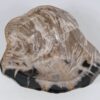 Bol madera petrificada 52373