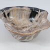Bol madera petrificada 52373