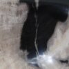 Bol madera petrificada 52373