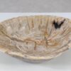 Bol madera petrificada 52375