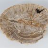 Bol madera petrificada 52375