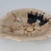 Bol madera petrificada 52377