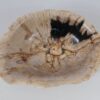 Bol madera petrificada 52377