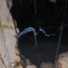 Bol madera petrificada 52377