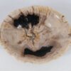 Bol madera petrificada 52378