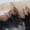 Bol madera petrificada 52378