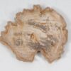Plato madera petrificada 52392