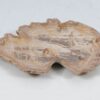 Plato madera petrificada 52392