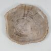 Plato madera petrificada 52393