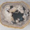 Salontafel versteend hout 51214