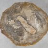 Salontafel versteend hout 51227
