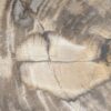 Salontafel versteend hout 51227