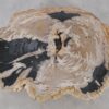 Salontafel versteend hout 52192
