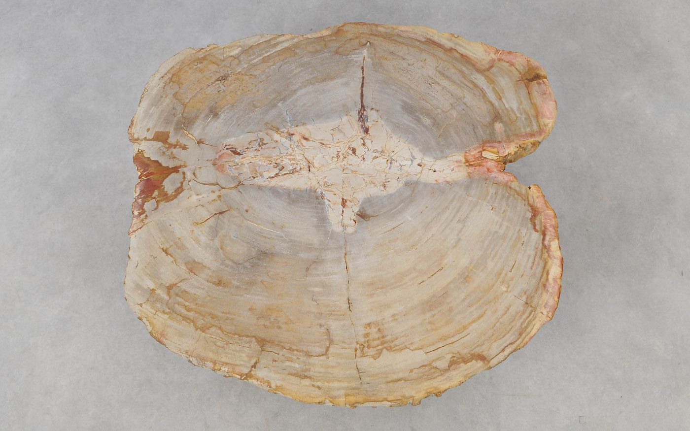 Salontafel versteend hout 52201