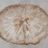 Salontafel versteend hout 52228