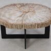 Salontafel versteend hout 52232