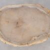 Salontafel versteend hout 52246