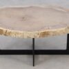 Salontafel versteend hout 52246