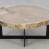 Salontafel versteend hout 52248