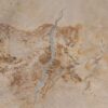Salontafel versteend hout 52248