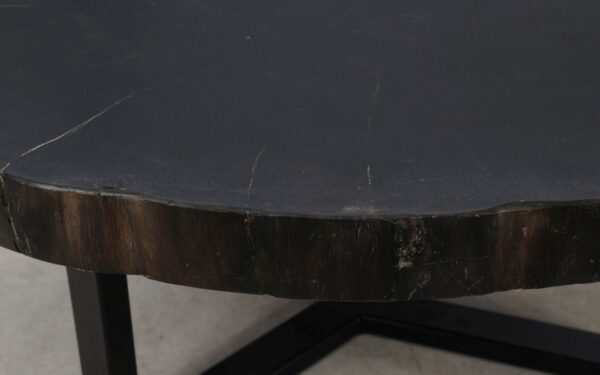 Salontafel versteend hout 52249