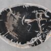 Salontafel versteend hout 52303