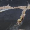 Salontafel versteend hout 52309