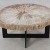 Salontafel versteend hout 52419