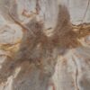Salontafel versteend hout 52419
