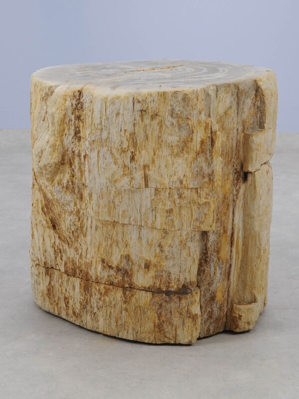 Side table petrified wood 48006