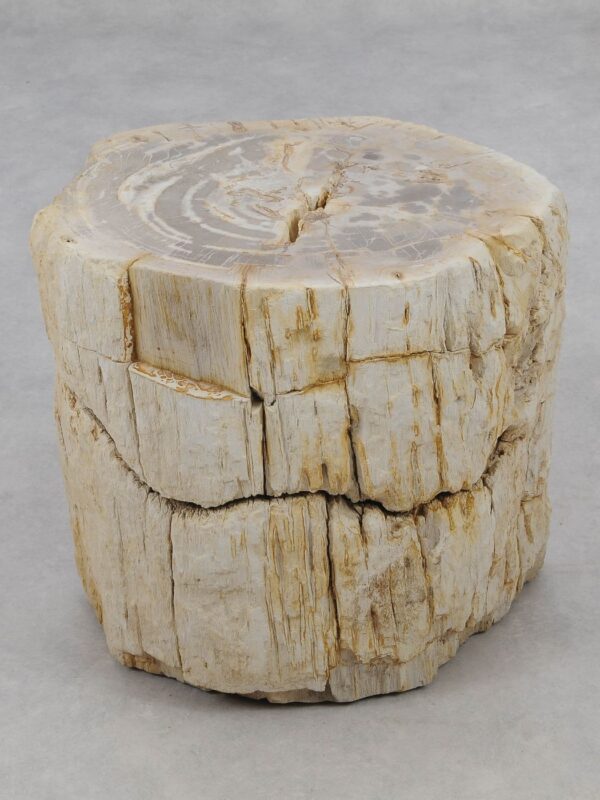 Side table petrified wood 48006